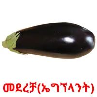 መደረቻ(ኤግኘላንት) Bildkarteikarten