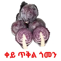 ቀይ ጥቅል ጎመን Bildkarteikarten