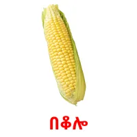 በቆሎ Bildkarteikarten