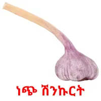 ነጭ ሽንኩርት Bildkarteikarten