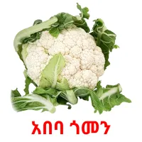 አበባ ጎመን Bildkarteikarten