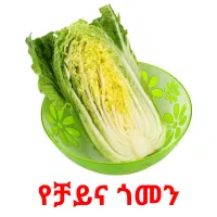 የቻይና ጎመን Bildkarteikarten