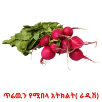 ጥሬዉን የሚበላ አትክልት( ራዲሽ) Bildkarteikarten