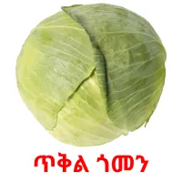 ጥቅል ጎመን Bildkarteikarten