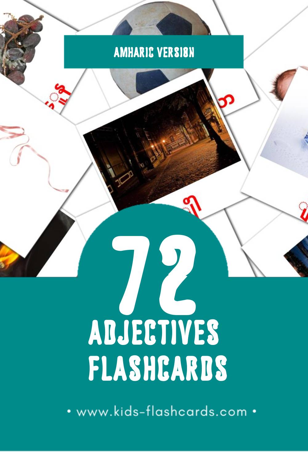 Visual things Flashcards for Toddlers (72 cards in Amharic)