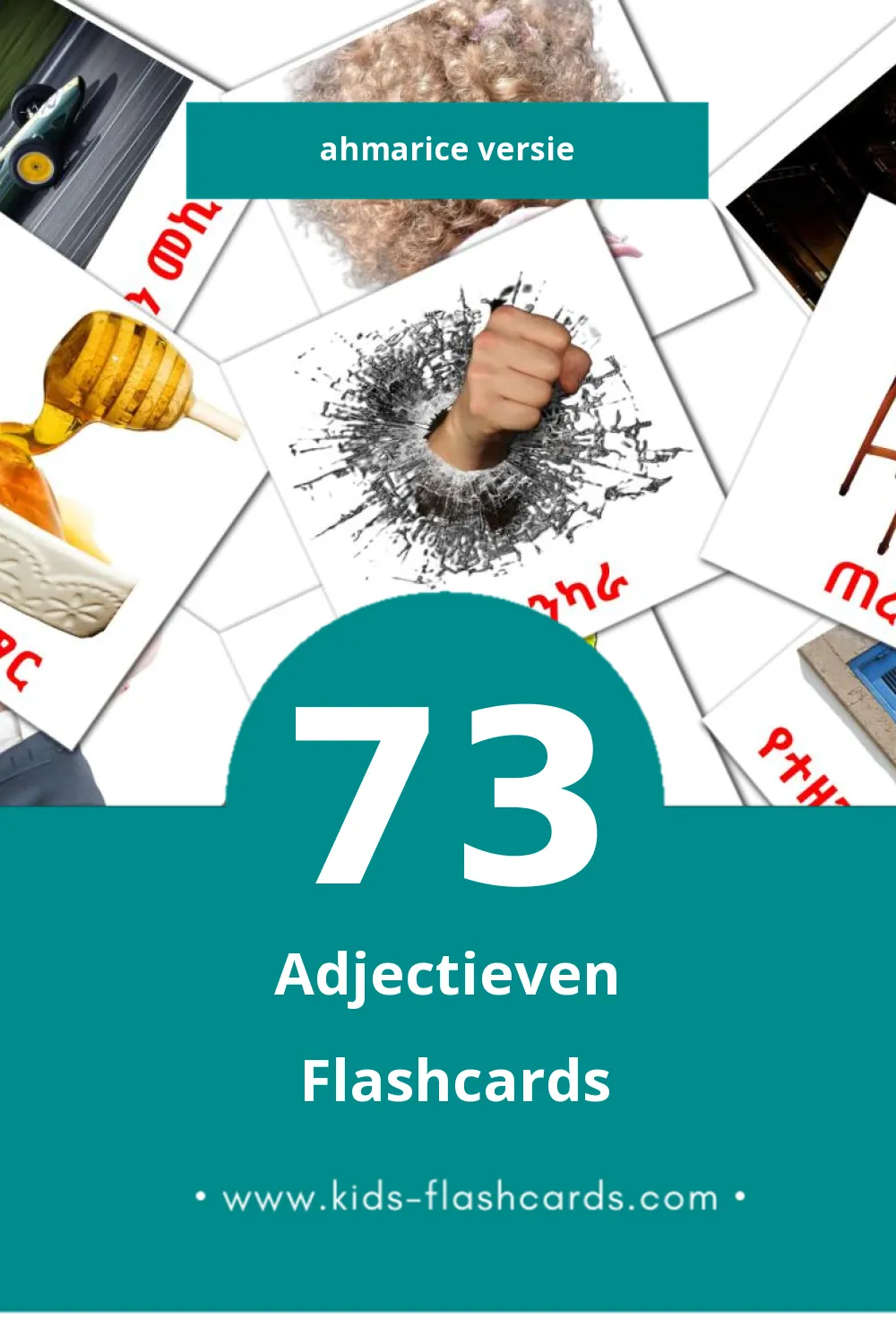 Visuele PRZECIWIEŃSTWA Flashcards voor Kleuters (73 kaarten in het Ahmaric)