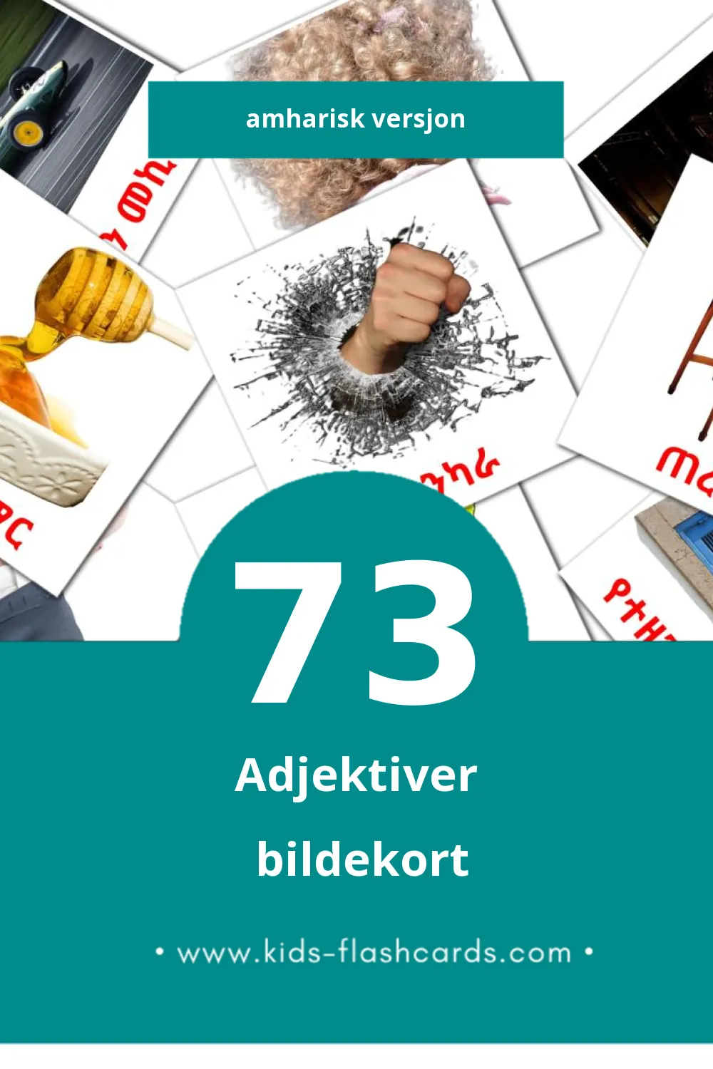 Visuelle PRZECIWIEŃSTWA bildekort for småbarn (73 kort på Amharisk)