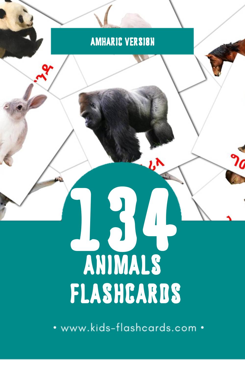 Visual እንስሳት Flashcards for Toddlers (68 cards in Amharic)
