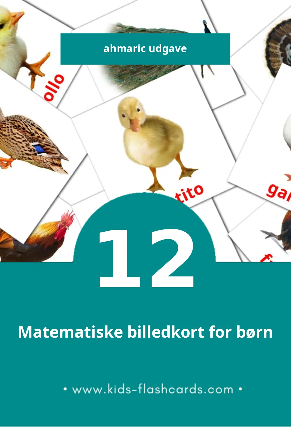 Visuelle billedkort for børn om aves til småbørn (12 kort på Ahmaric)