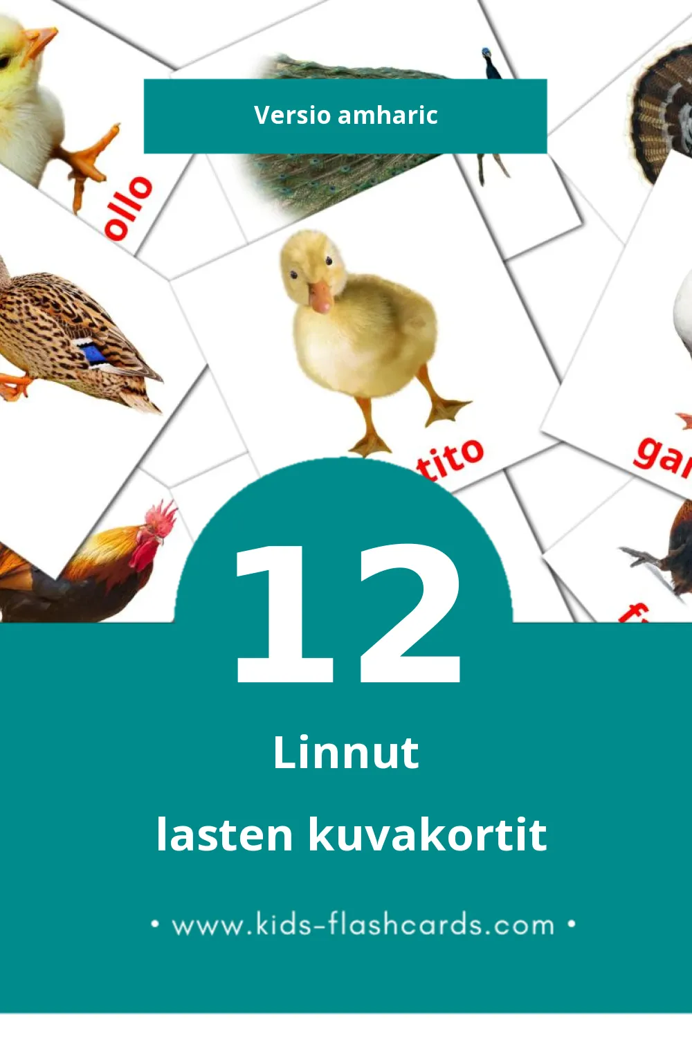 aves lasten kuvakortit pikkulapsille (12 korttia Amharicksi)