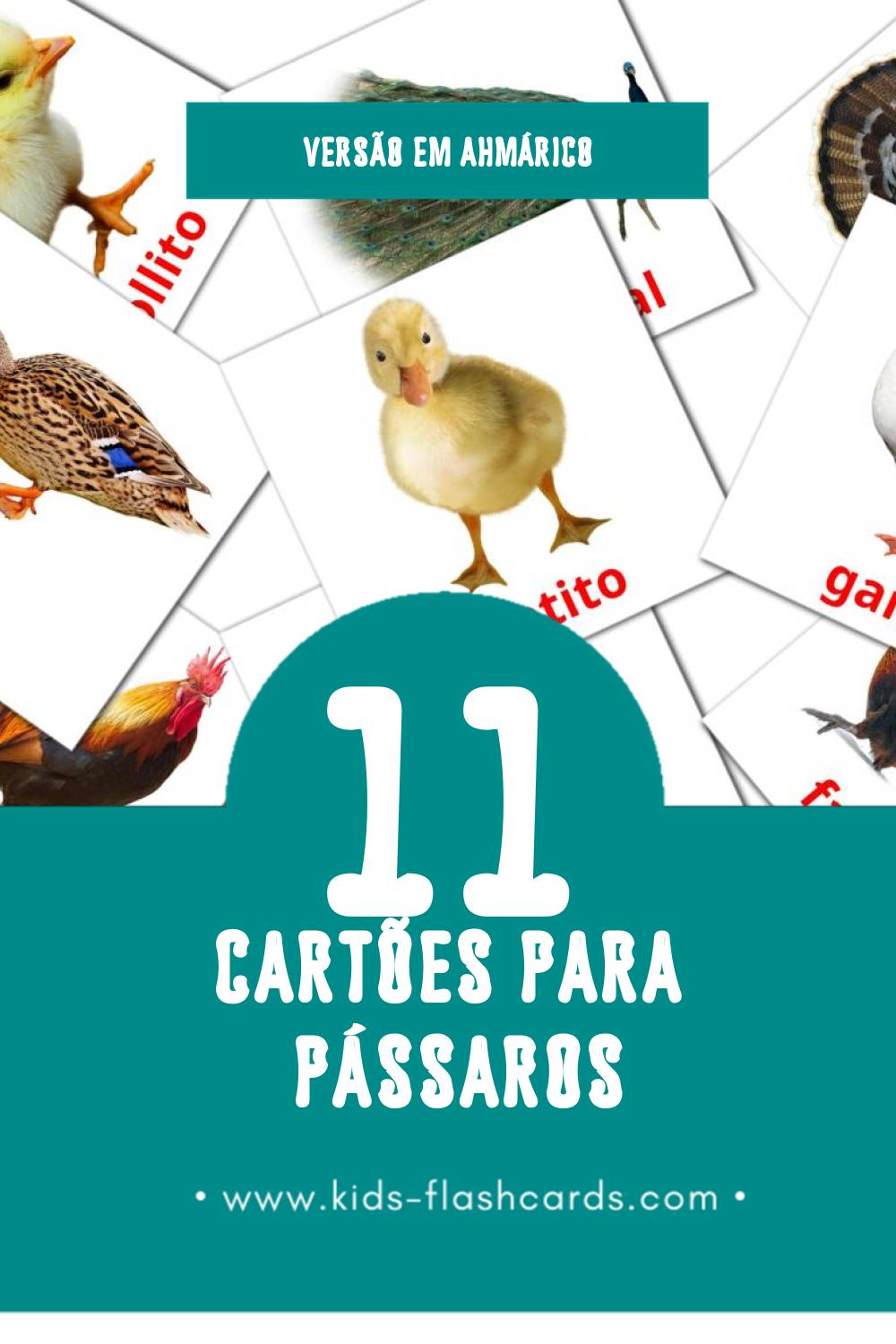 Flashcards de Aves da quinta Visuais para Toddlers (29 cartões em Ahmárico)