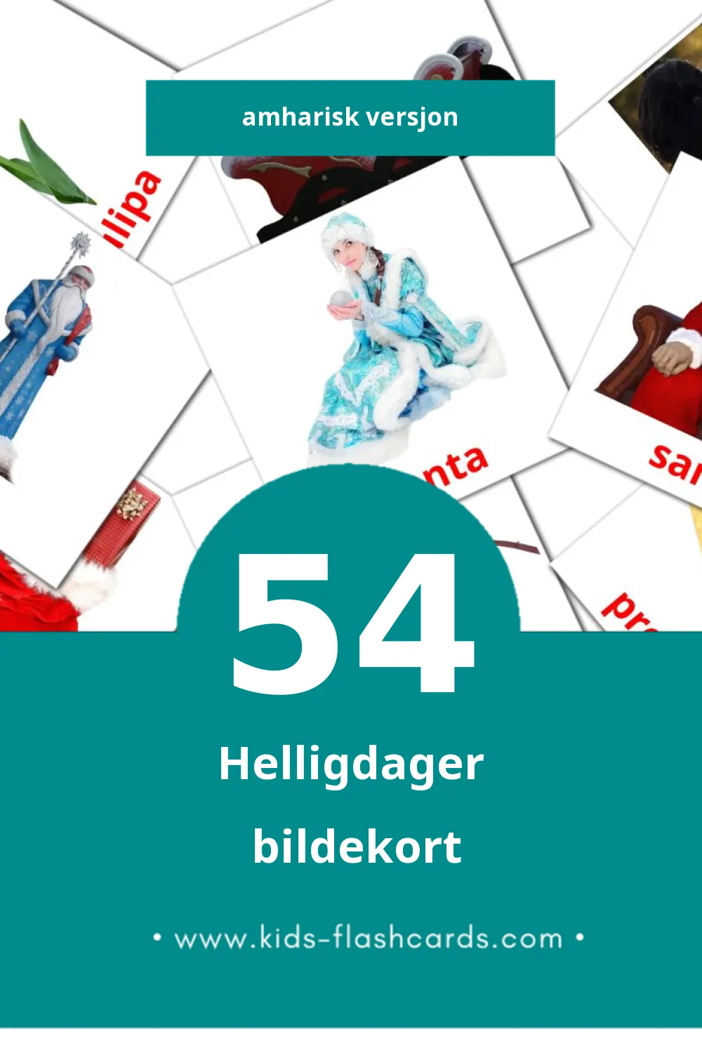 Holiday  lasten kuvakortit pikkulapsille (54 korttia Amharisk)