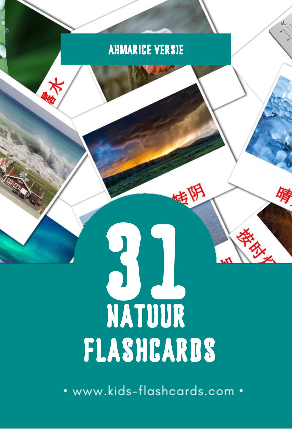 Visuele PLANETA Flashcards voor Kleuters (51 kaarten in het Ahmaric)