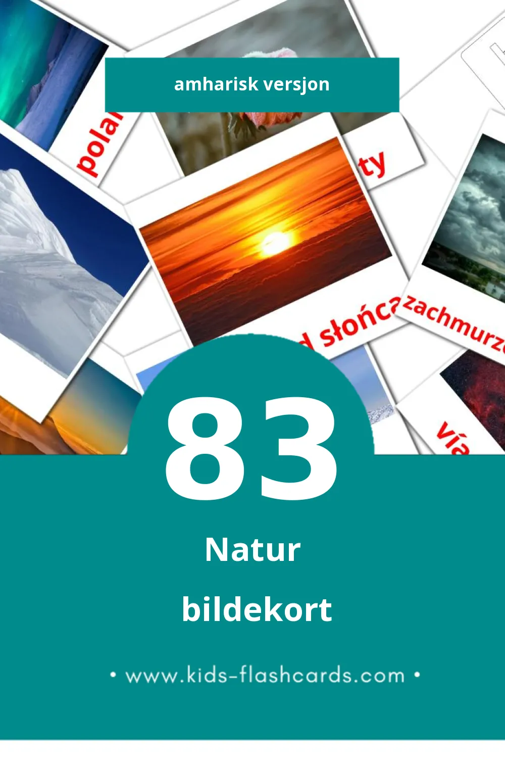 Visuelle Русский bildekort for småbarn (83 kort på Amharisk)