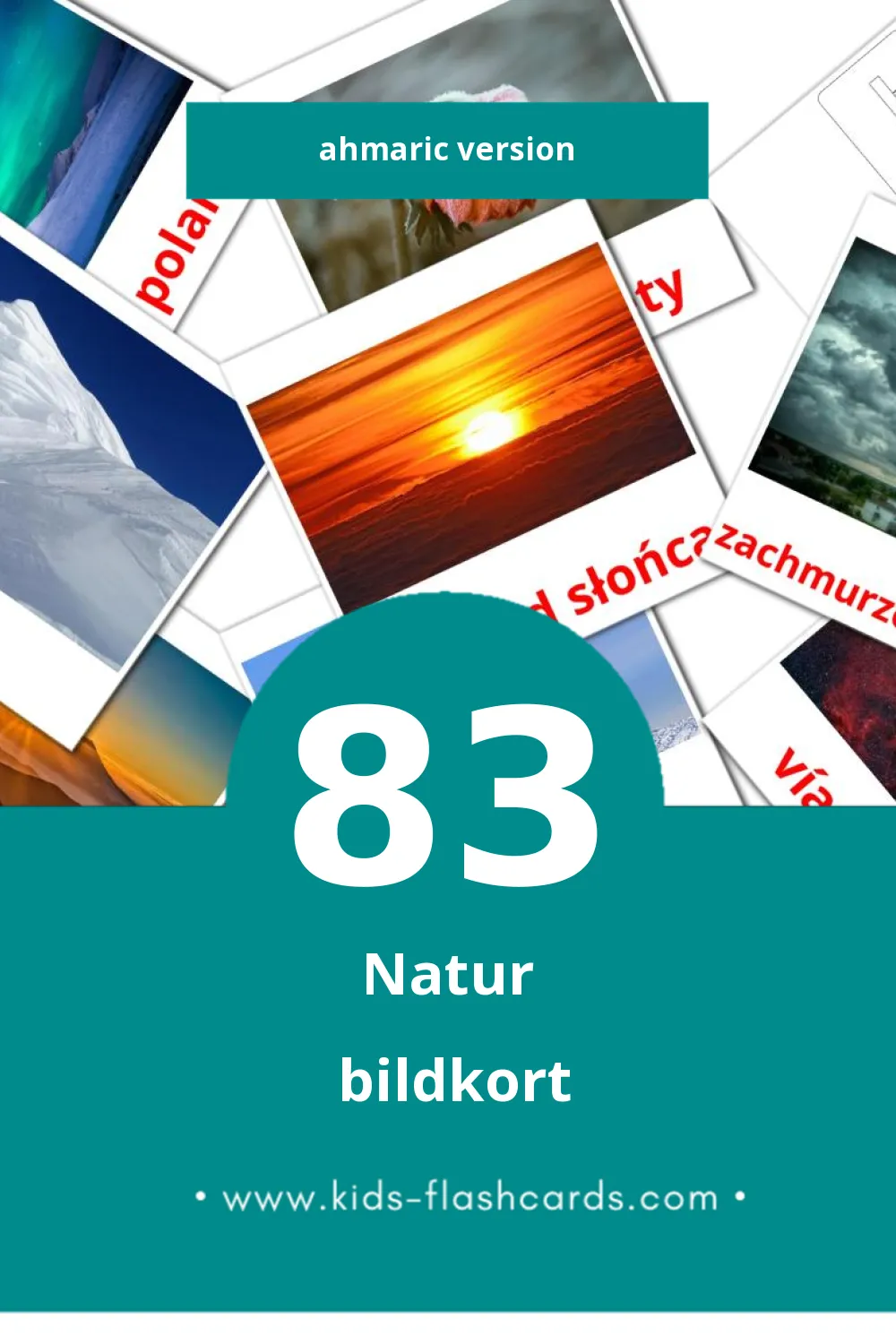 Visuella Русский för småbarn (83 bildkort för barn på Ahmaric)
