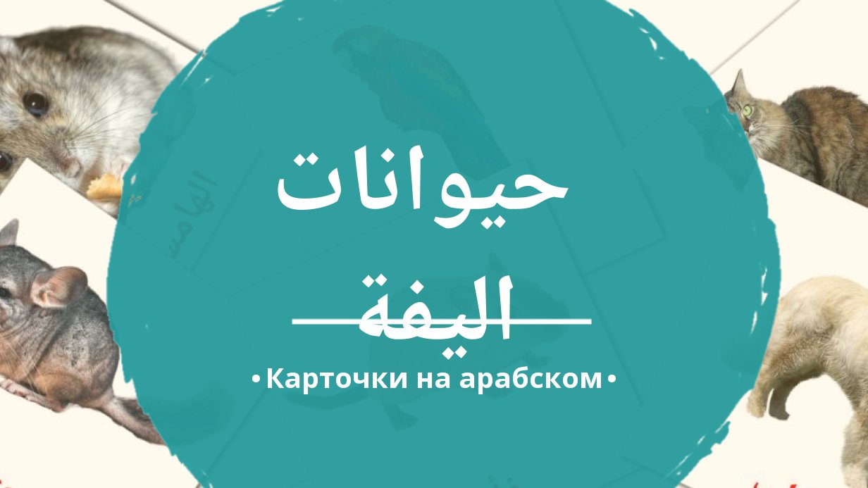 10 Бесплатных Карточек Домашние животные на Арабском | PDF