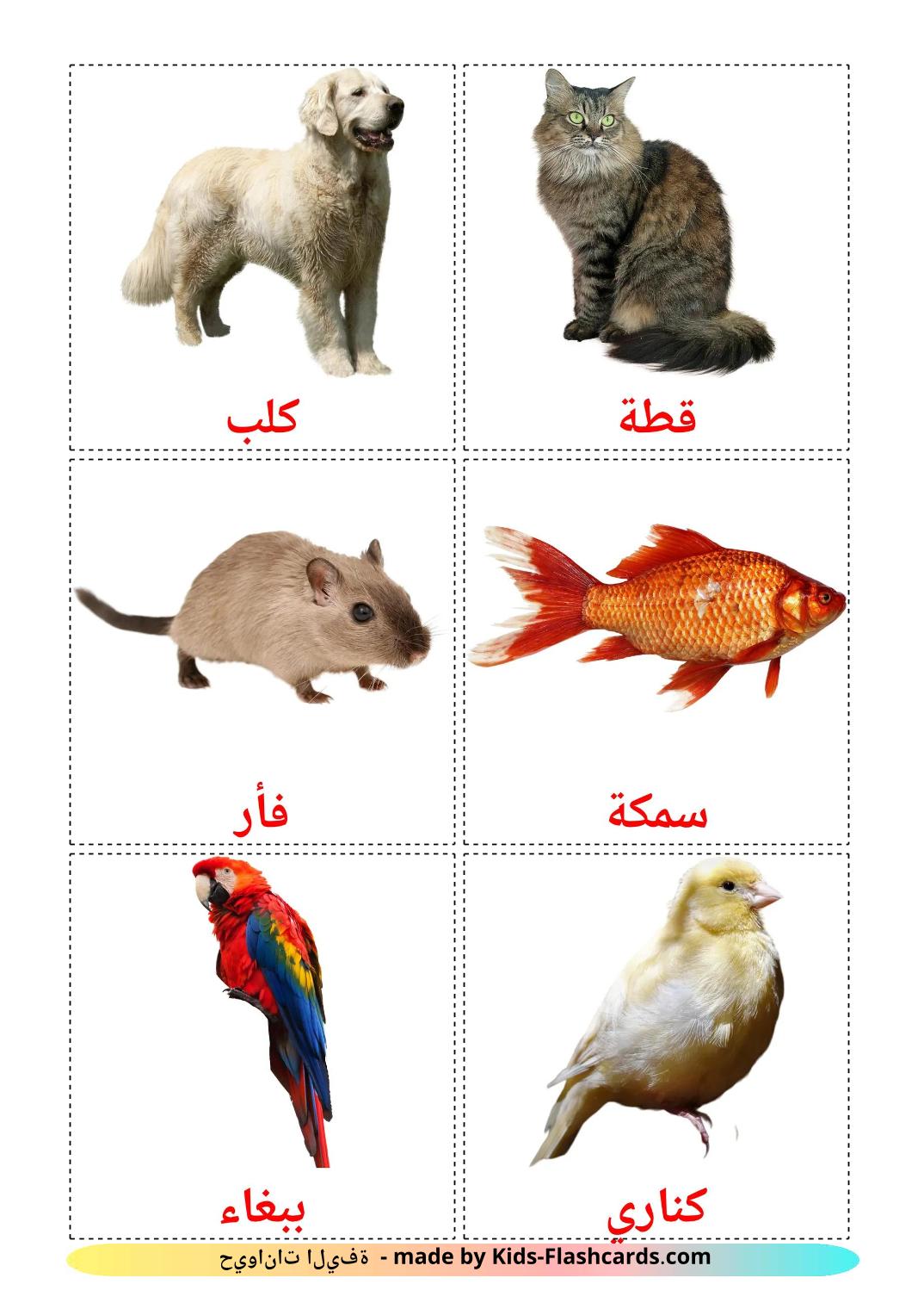 Domestic animals - 11 Free Printable arabic Flashcards 