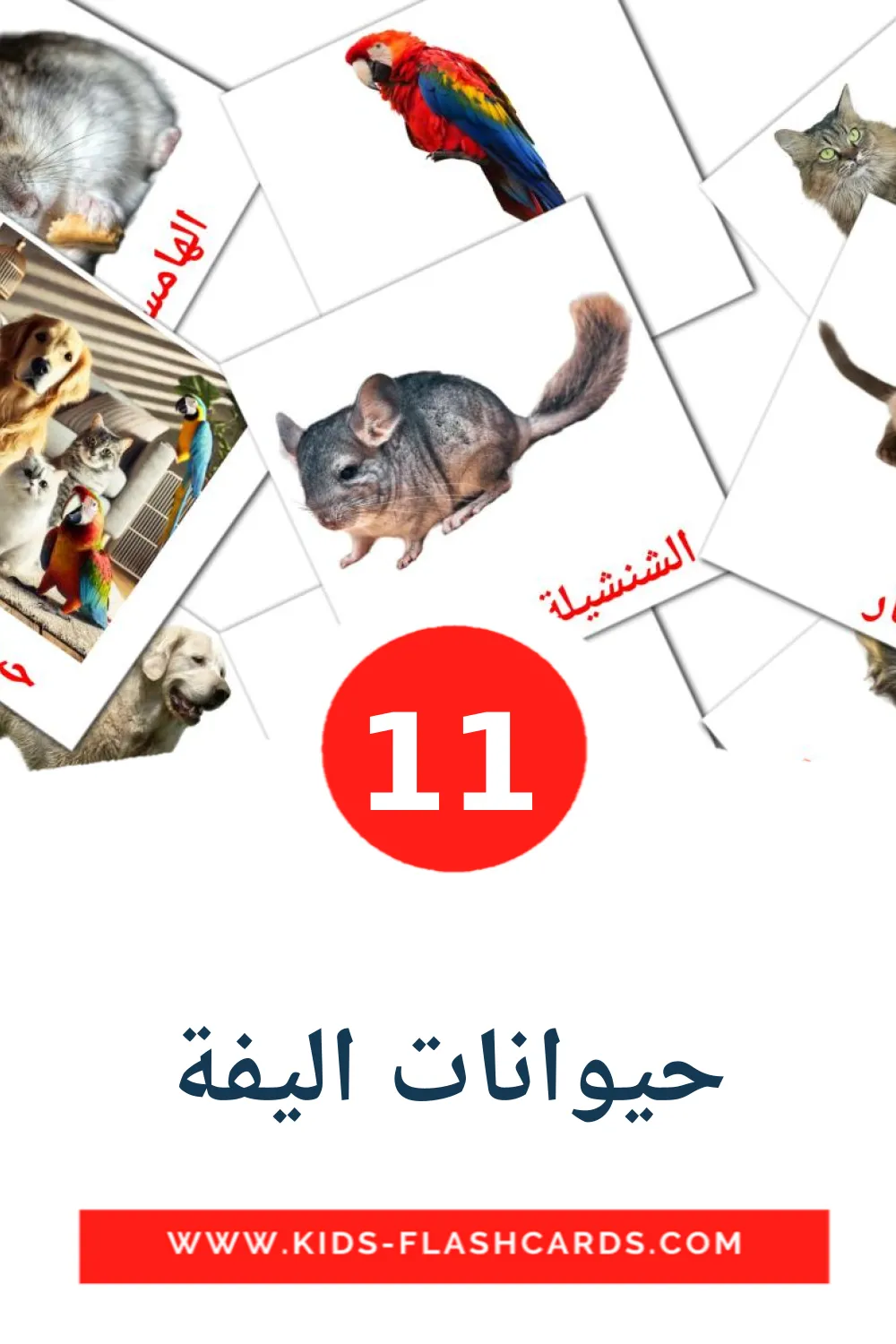 11  حيوانات اليفة  Picture Cards for Kindergarden in arabic