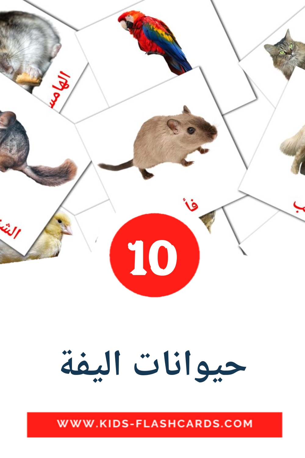 10-free-domestic-animals-flashcards-in-arabic-pdf-files