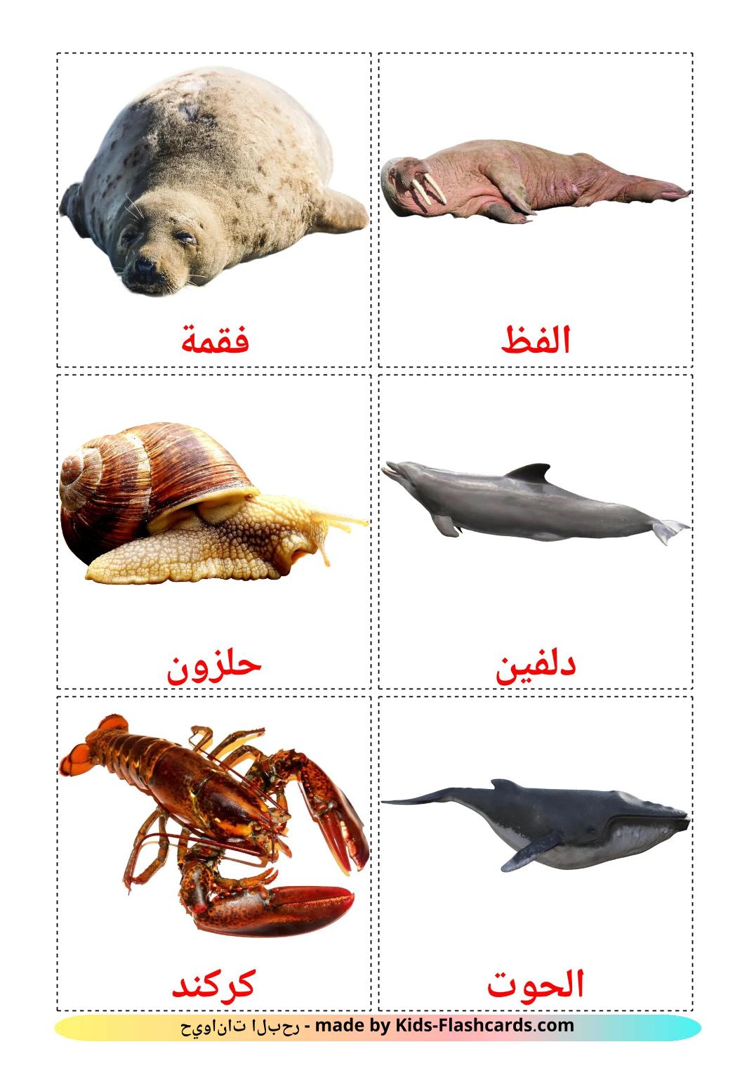 Meerestiere - 30 kostenlose, druckbare Arabisch Flashcards 