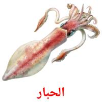الحبار card for translate