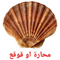 محارة او قوقع Bildkarteikarten