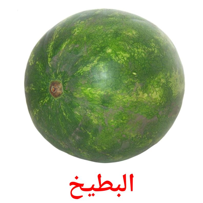 البطيخ picture flashcards