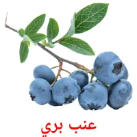 عنب بري Bildkarteikarten