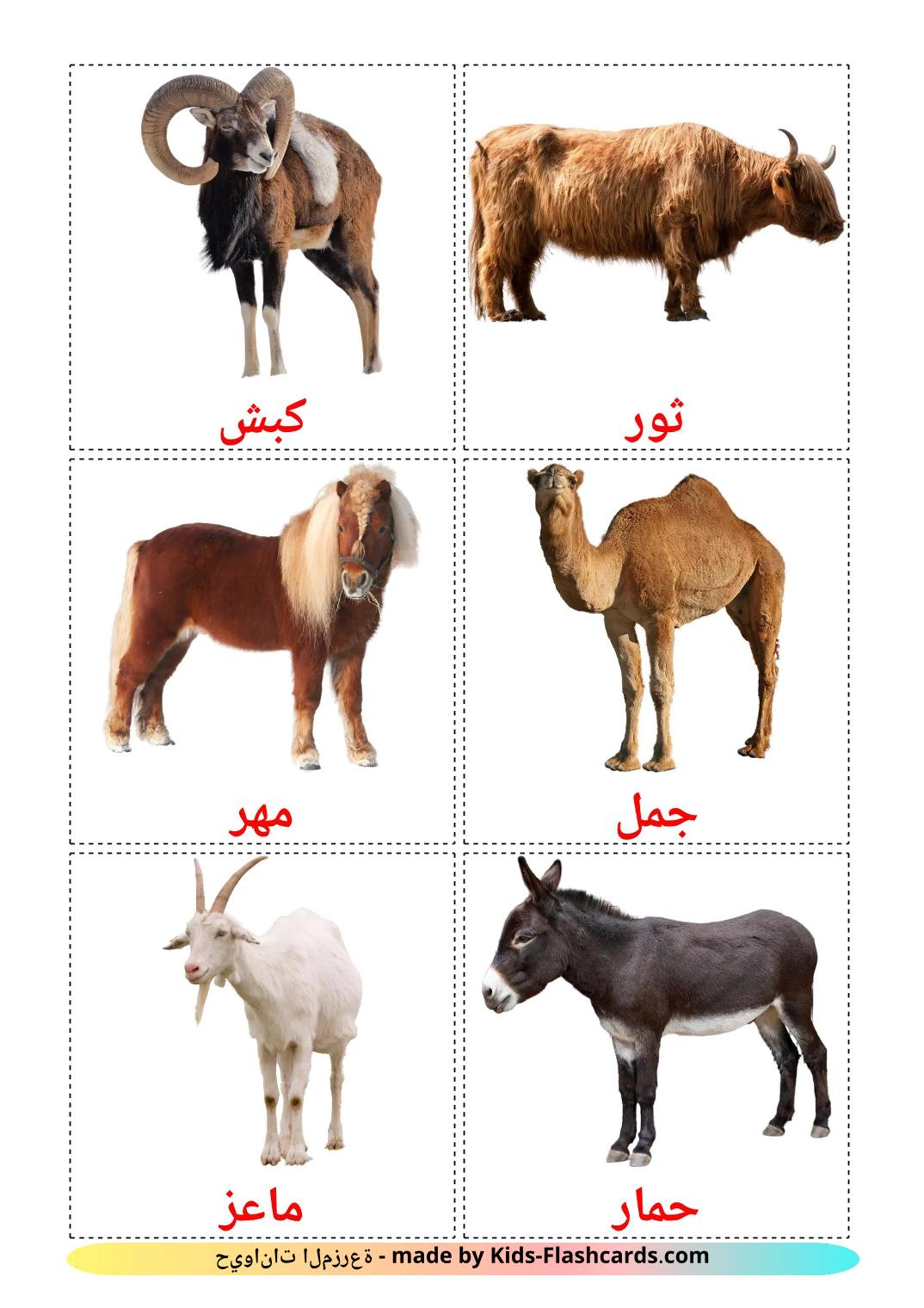 Farm animals - 16 Free Printable arabic Flashcards 