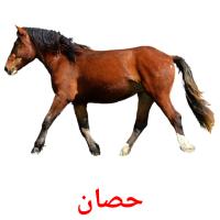 حصان card for translate
