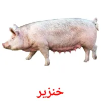 خنزير picture flashcards