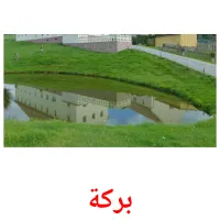 بركة picture flashcards