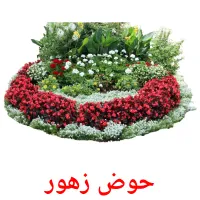 حوض زهور picture flashcards