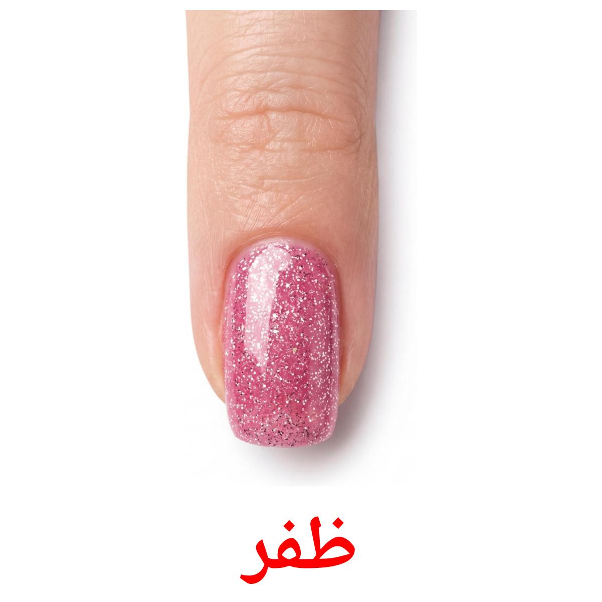 26 Printable Body Parts Flashcards in Arabic (Free PDF)