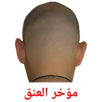 مؤخر العنق Bildkarteikarten