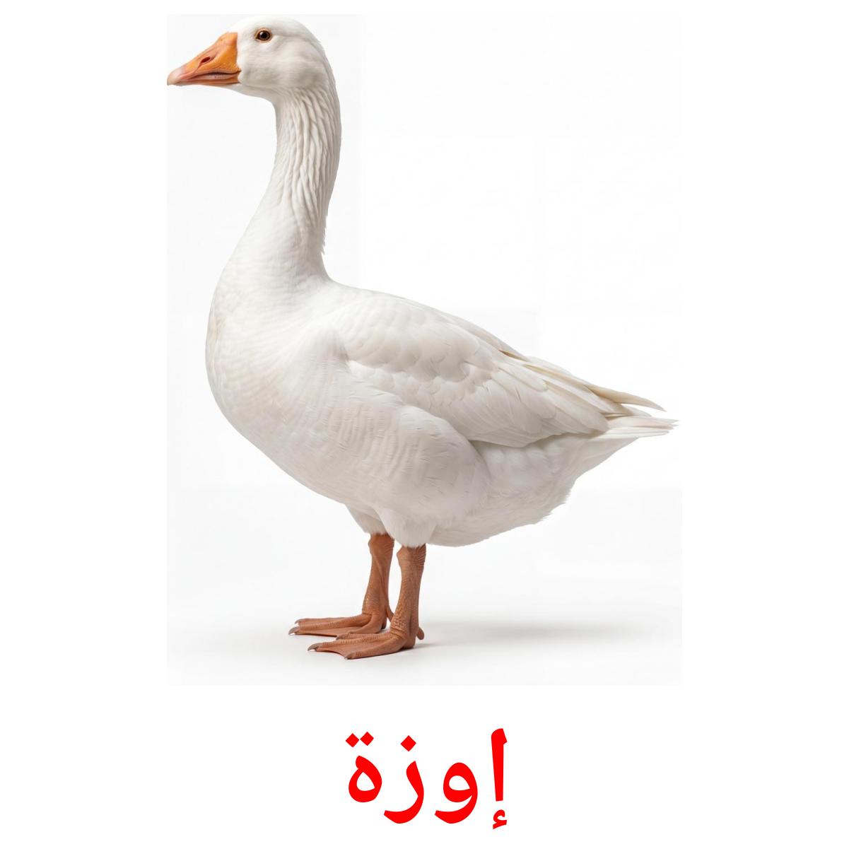 11 Free Farm Birds Flashcards In Arabic Pdf Files