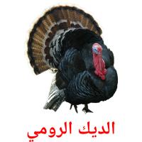 الديك الرومي card for translate