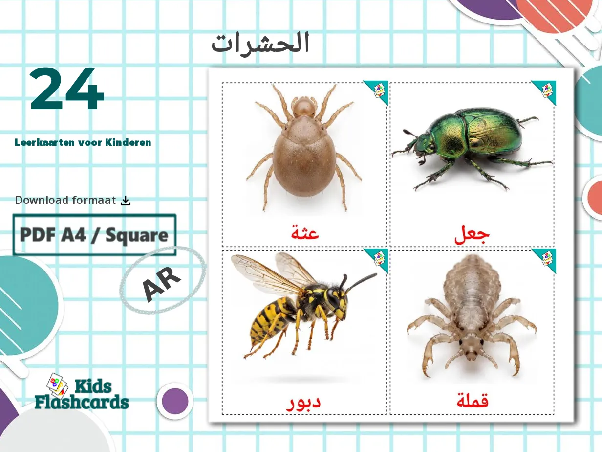 24 GRATIS Insecten Leerkaarten voor Kinderen in 4 PDF formaten ...