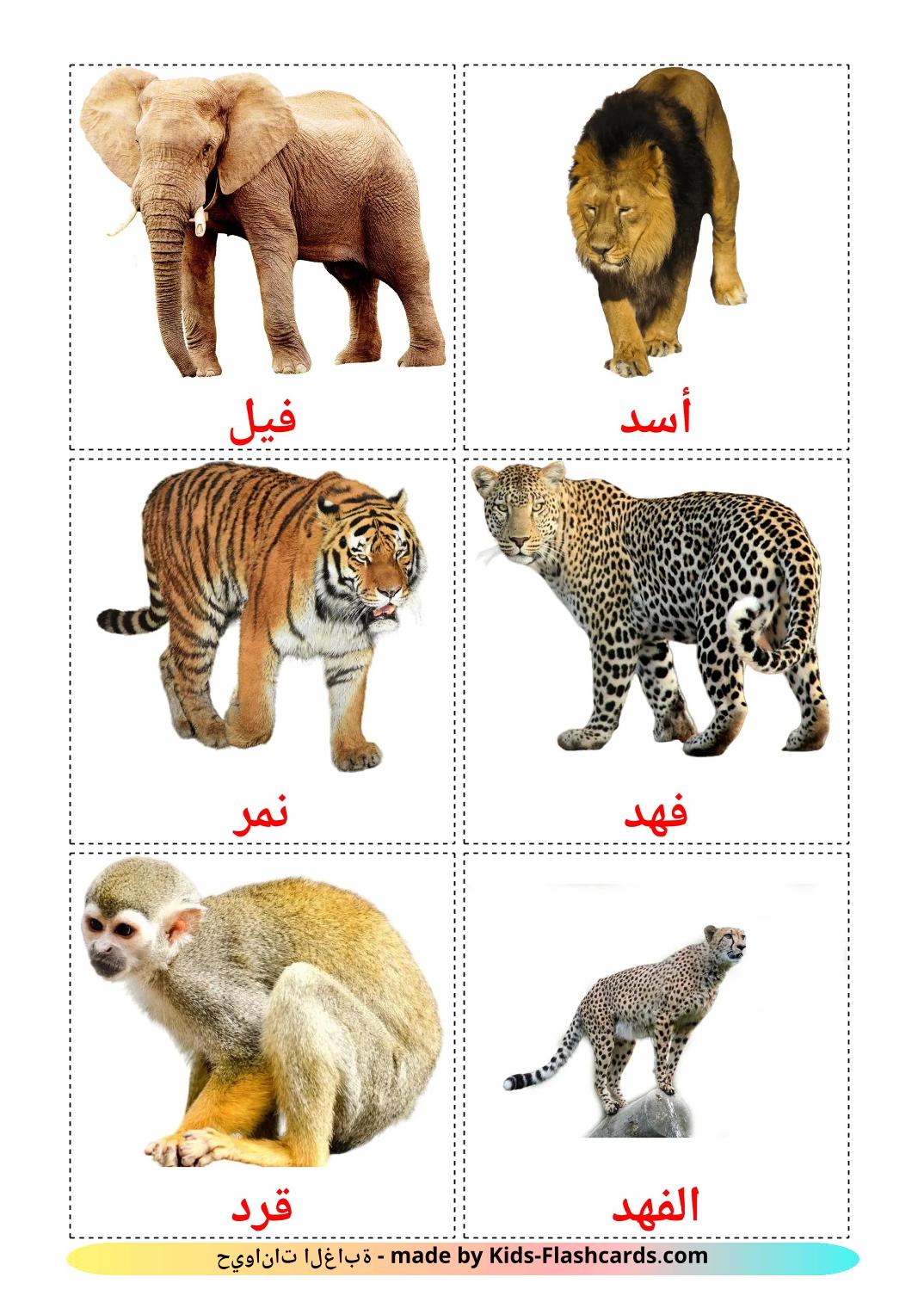 Jungle animals - 22 Free Printable arabic Flashcards 