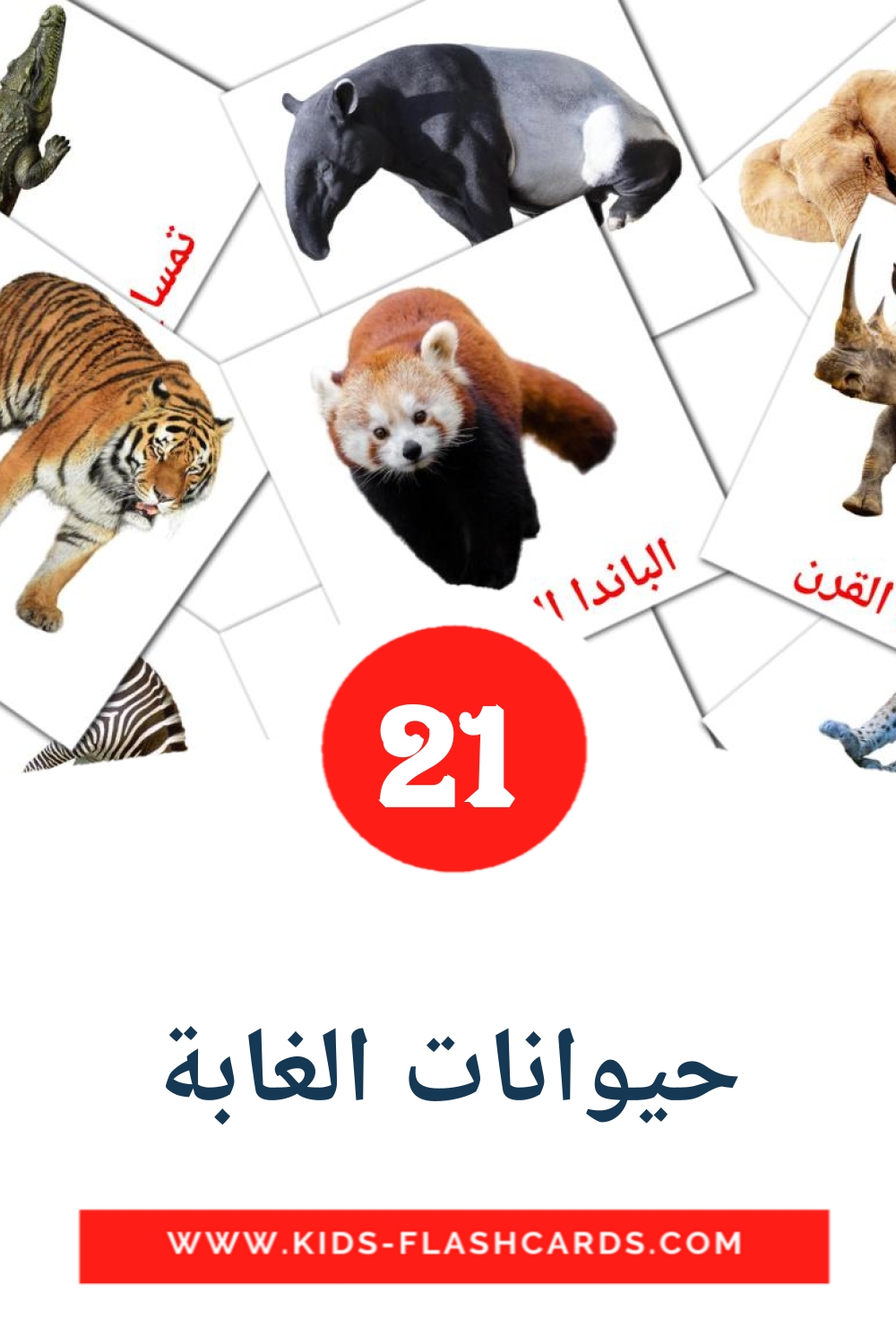 21 cartes illustrées de حيوانات الغابة pour la maternelle en arabe