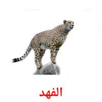 الفهد picture flashcards