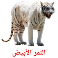 النمر الأبيض card for translate