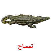 تمساح card for translate