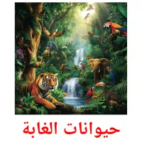 حيوانات الغابة picture flashcards