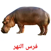 فرس النهر picture flashcards