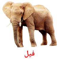 فيل card for translate