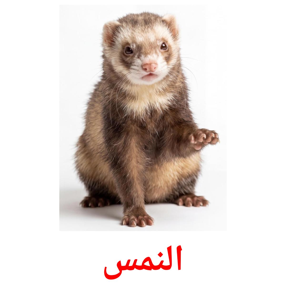 141 FREE Arabic Animals Flashcards | PDF