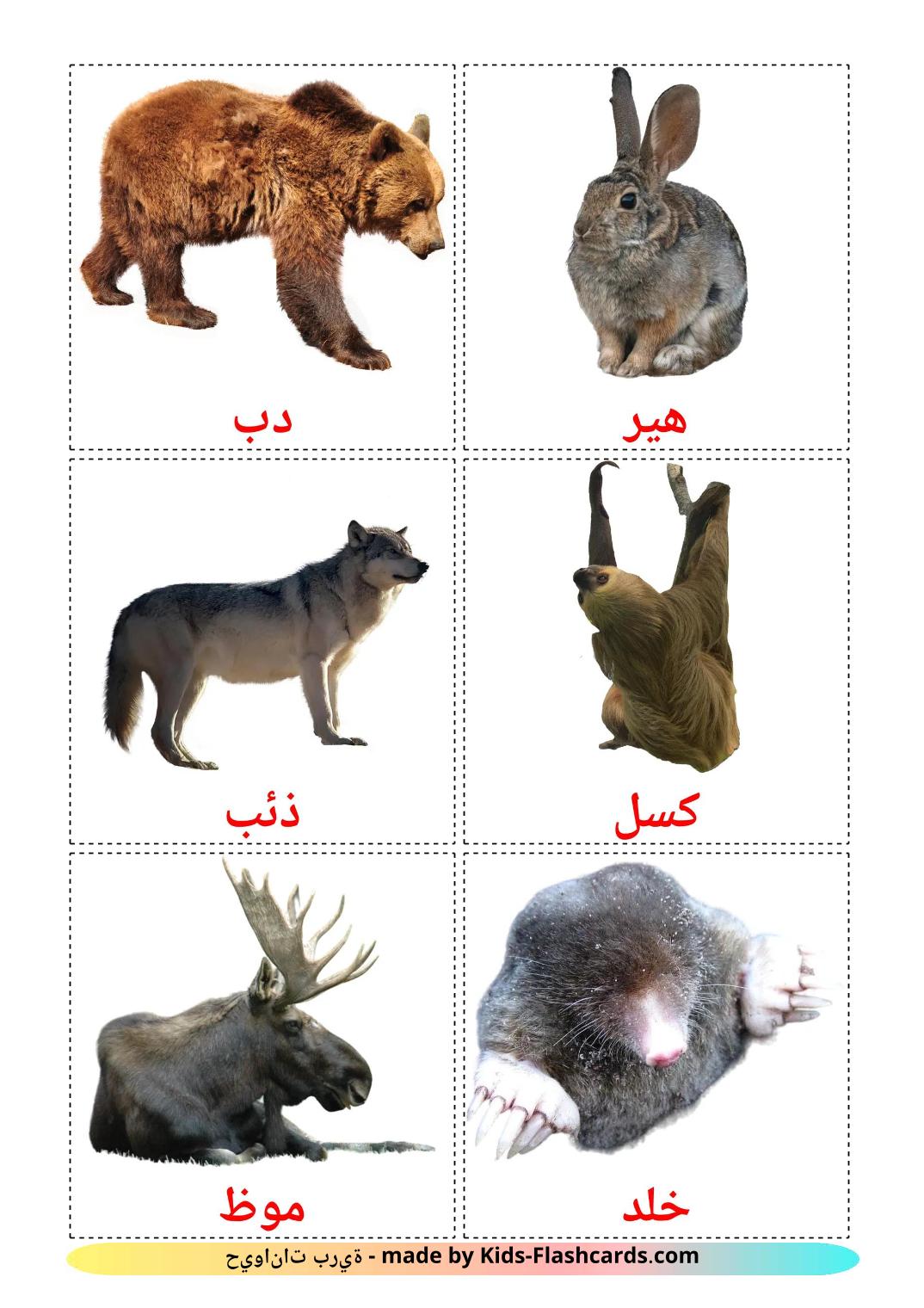 Forest animals - 23 Free Printable arabic Flashcards 