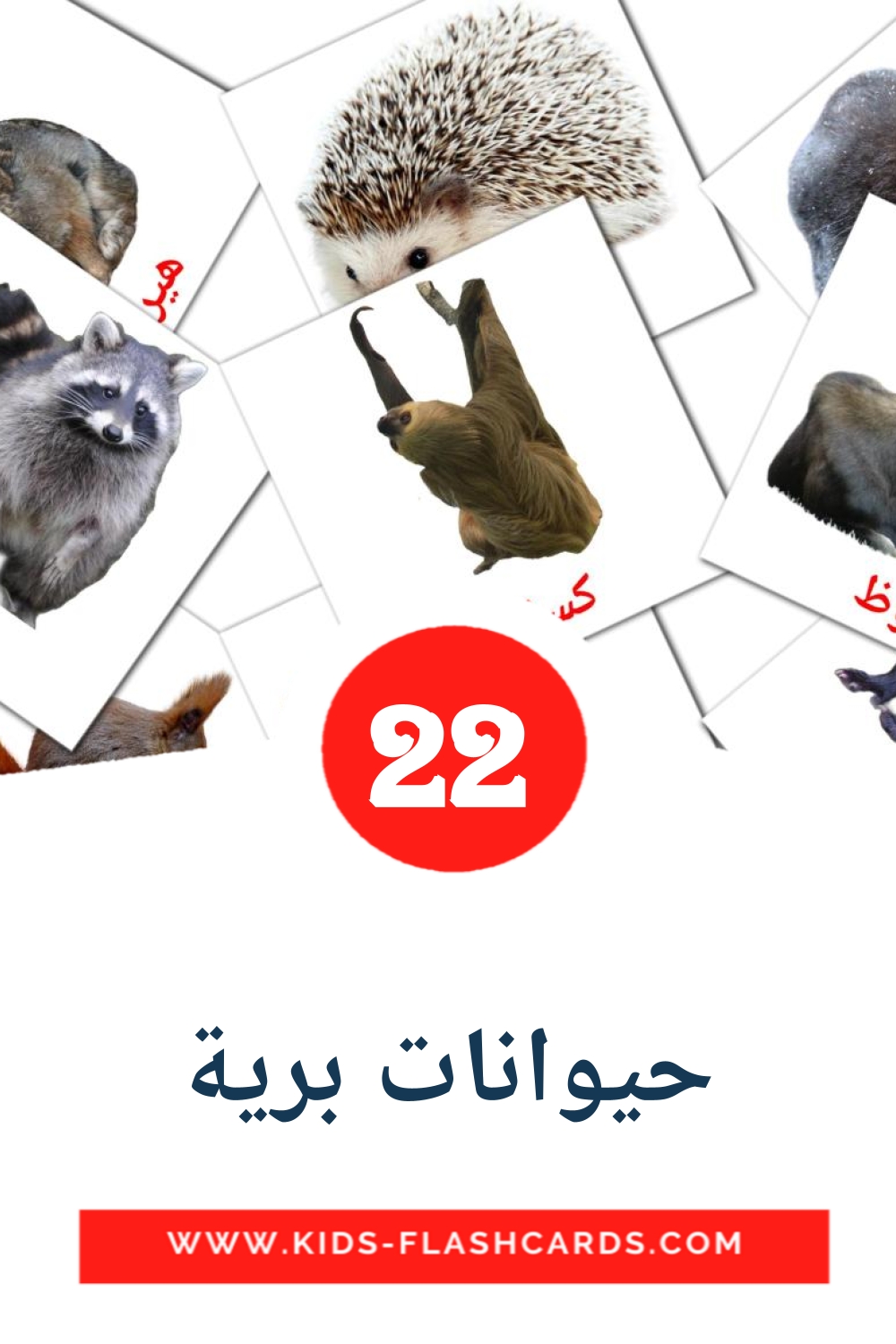 22 cartes illustrées de حيوانات برية pour la maternelle en arabe