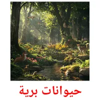 حيوانات برية picture flashcards